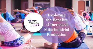 Exploring the Benefits of Increased Mitochondrial Production