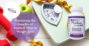 Examining the Benefits of Sinetrol-XPur in Weight Loss