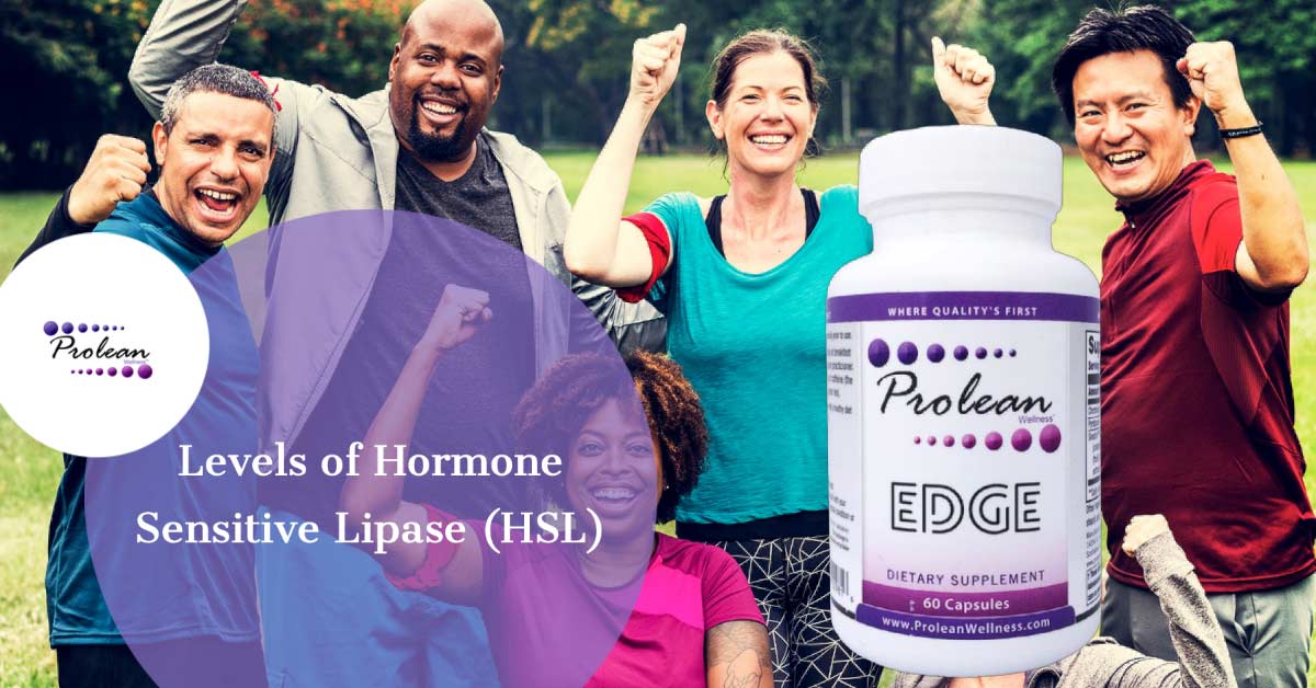 Levels of Hormone Sensitive Lipase (HSL)